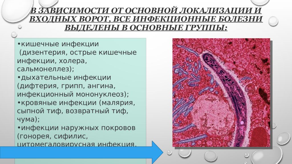 Инфекционные болезни паразитарные инфекции. Основные инфекционные болезни. Инфекционные заболевания их классификация и профилактика. Основные инфекционные болезни их классификация и профилактика. Атлас инфекционных болезней.