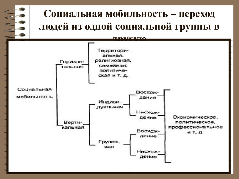 Структура социальных связей