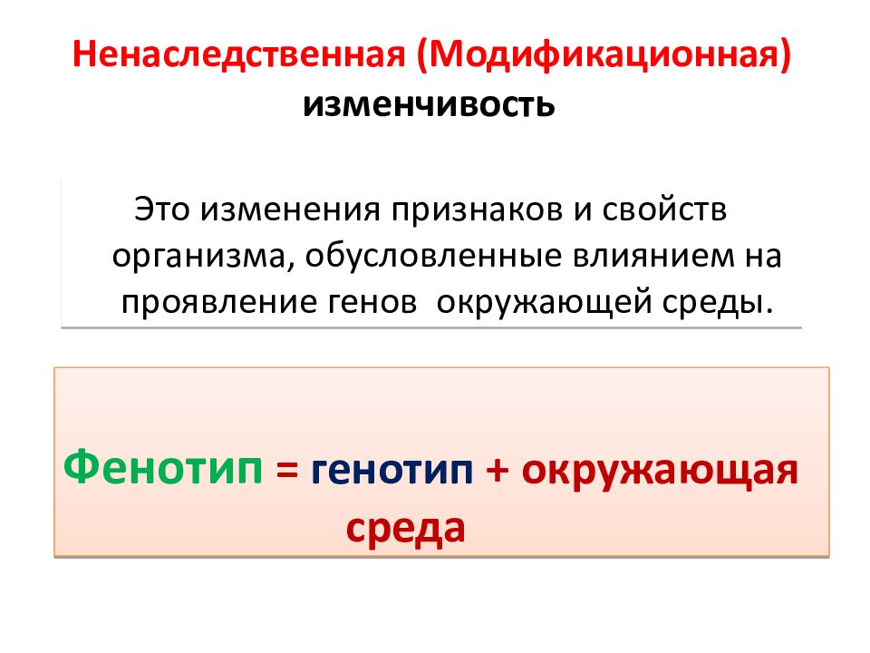 Ненаследственная изменчивость примеры картинки