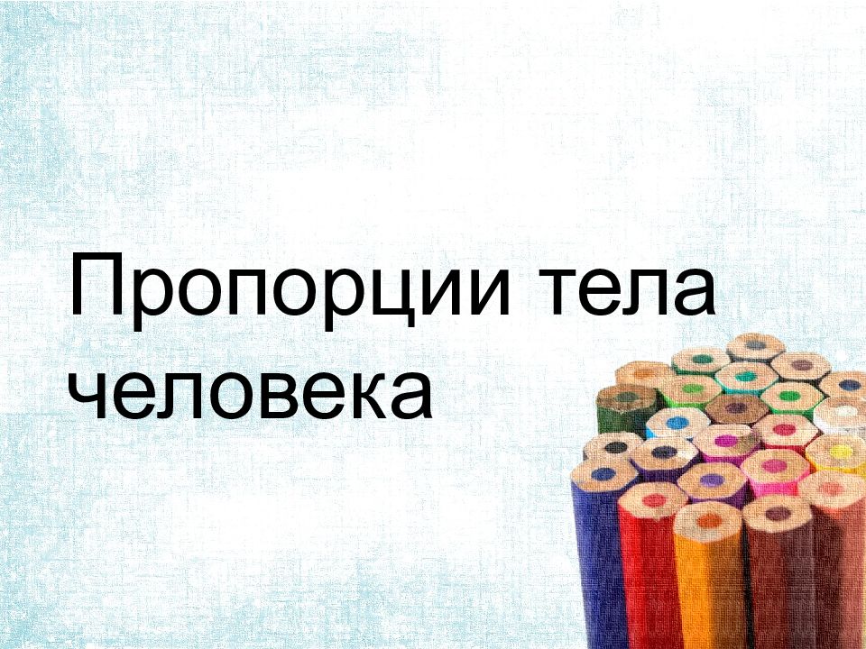 Пропорции тела человека