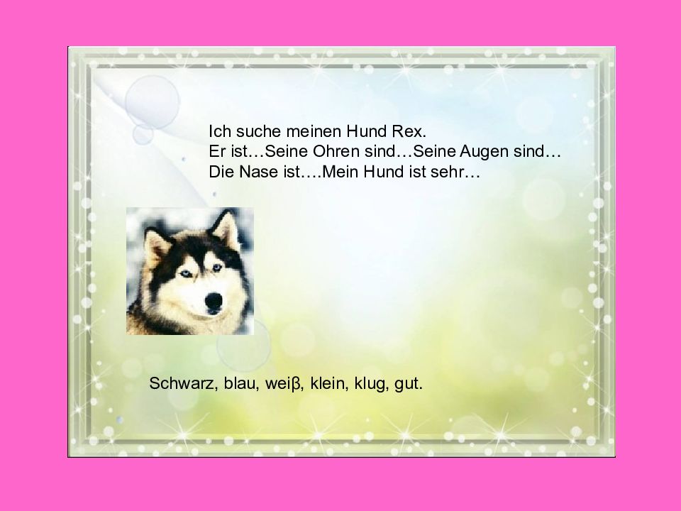 Das ist der hund