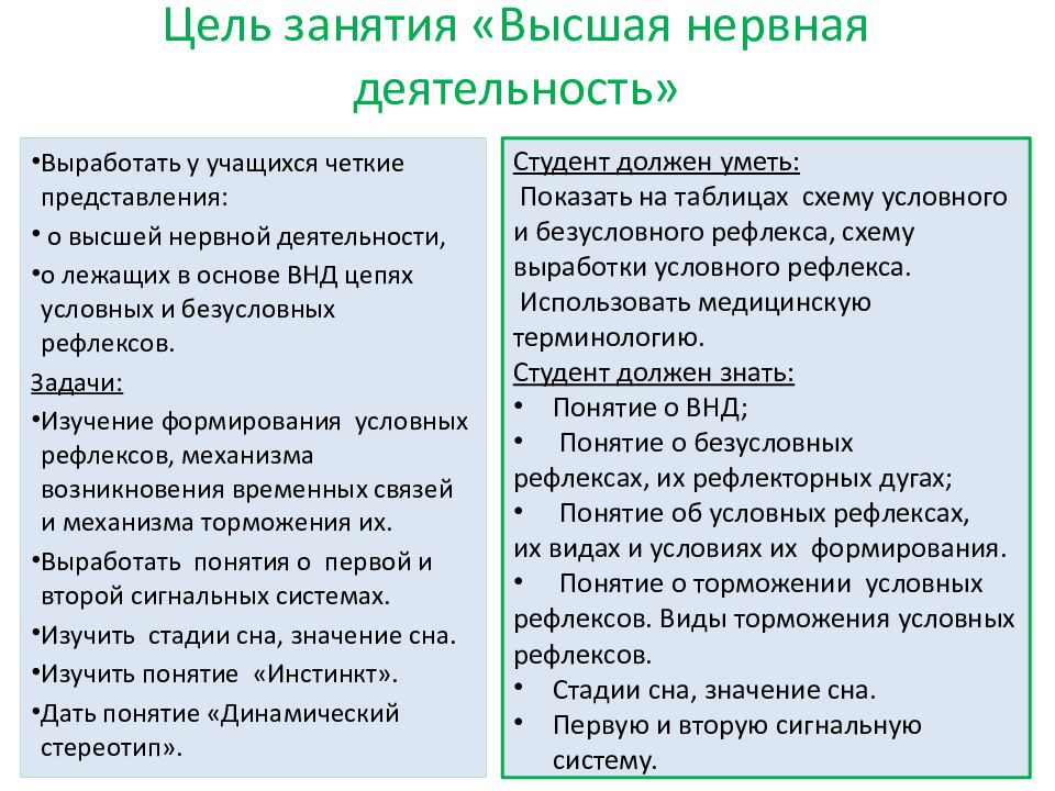 Особенности строения нервной и эндокринной систем человека.