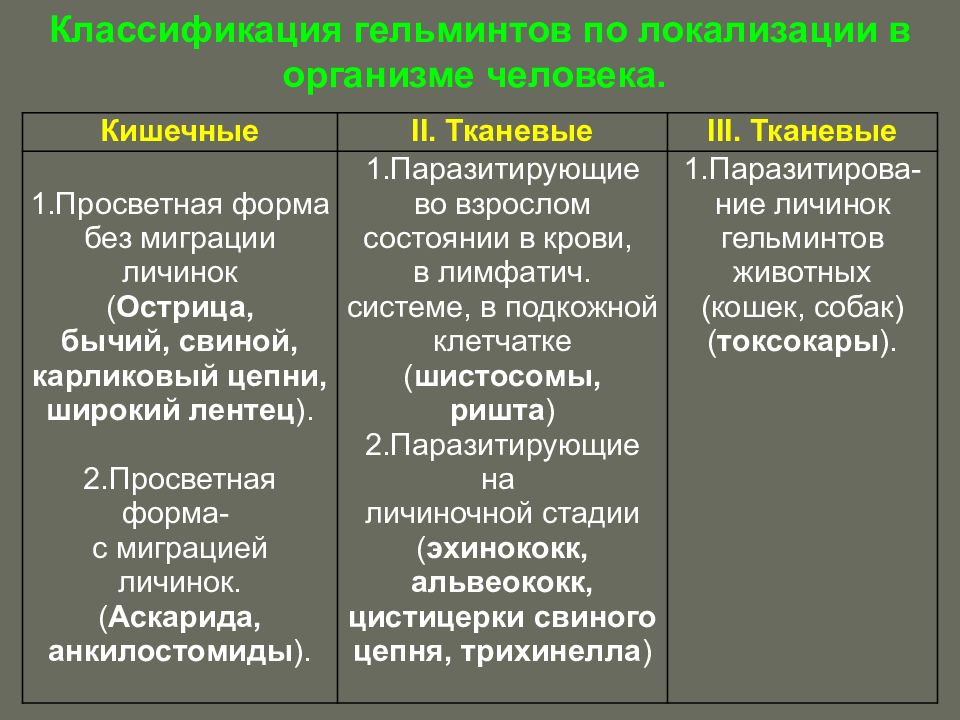 Дополнить схему классификации гельминтов