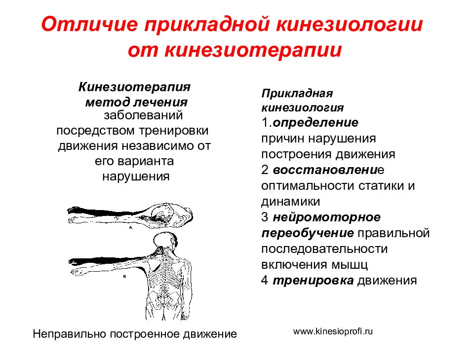 Прикладная кинезиология картинки