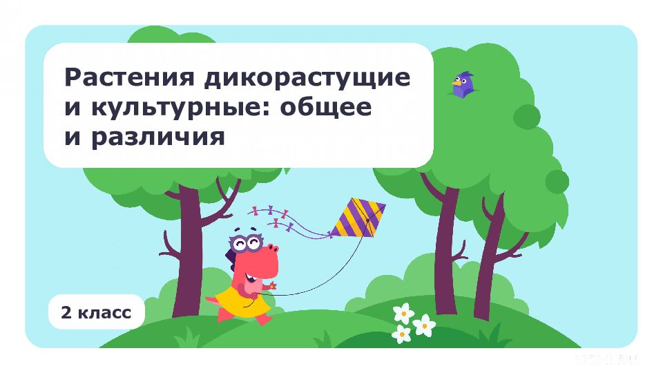 Растения дикорастущие и культурные: общее и различия 2 класс
