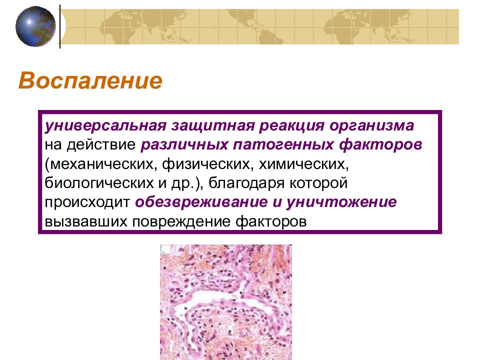 Защитная реакция. Защитная реакция организма. Воспаление это защитная реакция организма на. Реакция инфекционного воспаления.. Реакция воспаления иммунология.