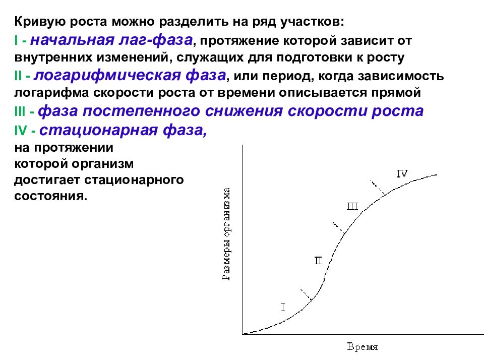 Можно роста. Кривая роста растений. Большая кривая роста растений. Кривая роста и развития. Логарифмическая фаза роста.