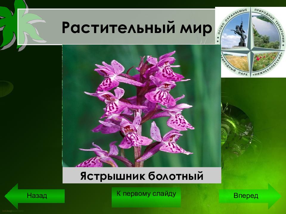 Презентация природные памятники волгоградской области