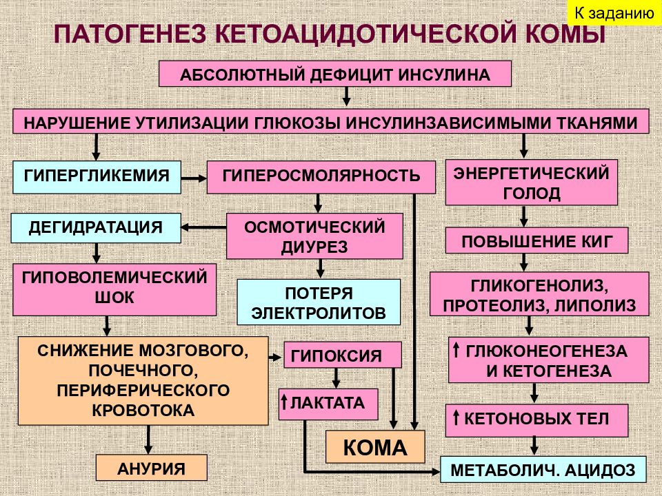 Патогенез основных. Диабетическая кетоацидотическая кома патогенез. Механизм развития гипергликемической комы. Патогенез кетоацидотической комы. Механизм развития гипогликемической комы.