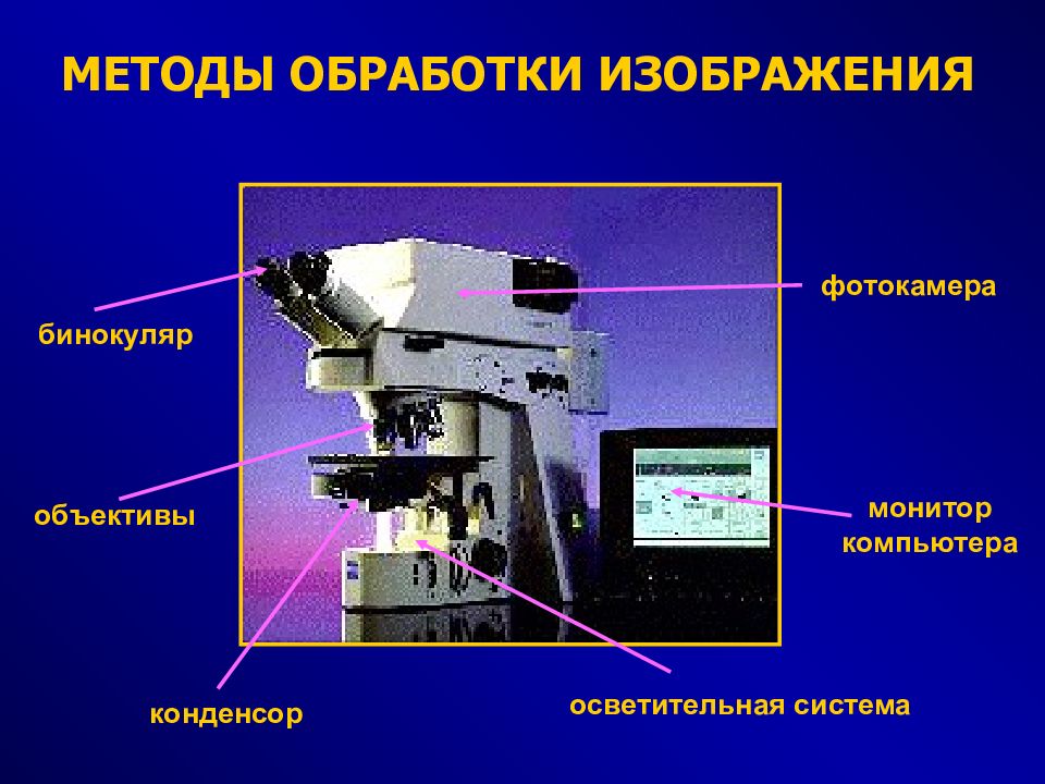 Технология обработки изображений. Способы обработки изображения. Технологии обработки изображений. Метод клеточного дисплея. Световая микроскопия это в биологии 9 класс.