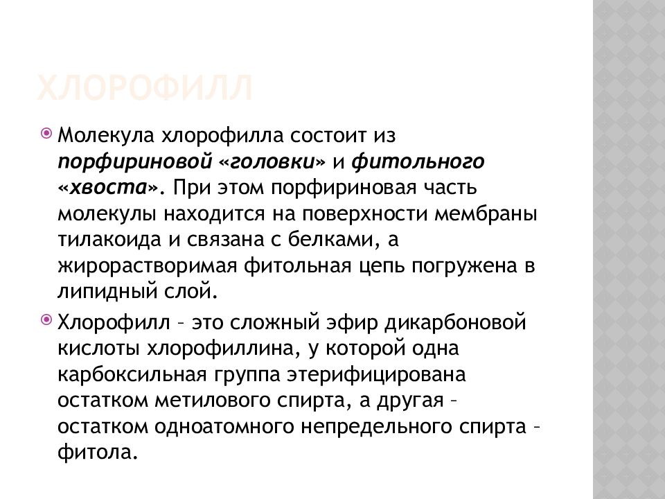 Фотосинтетические Пигменты хлорофилл