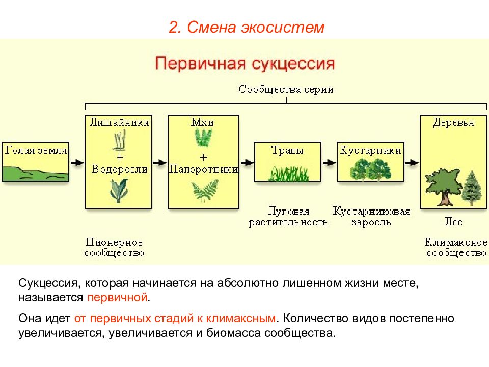 Объясните причины смены экосистем изображенных на рисунке от а б в г 2