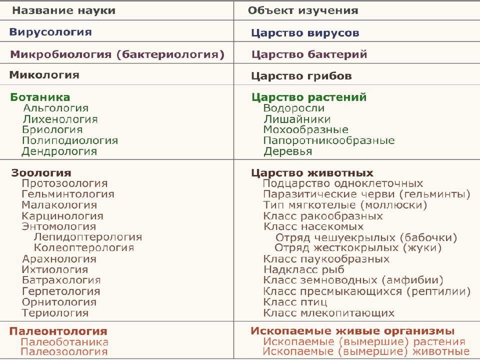 Картинки разделы биологии