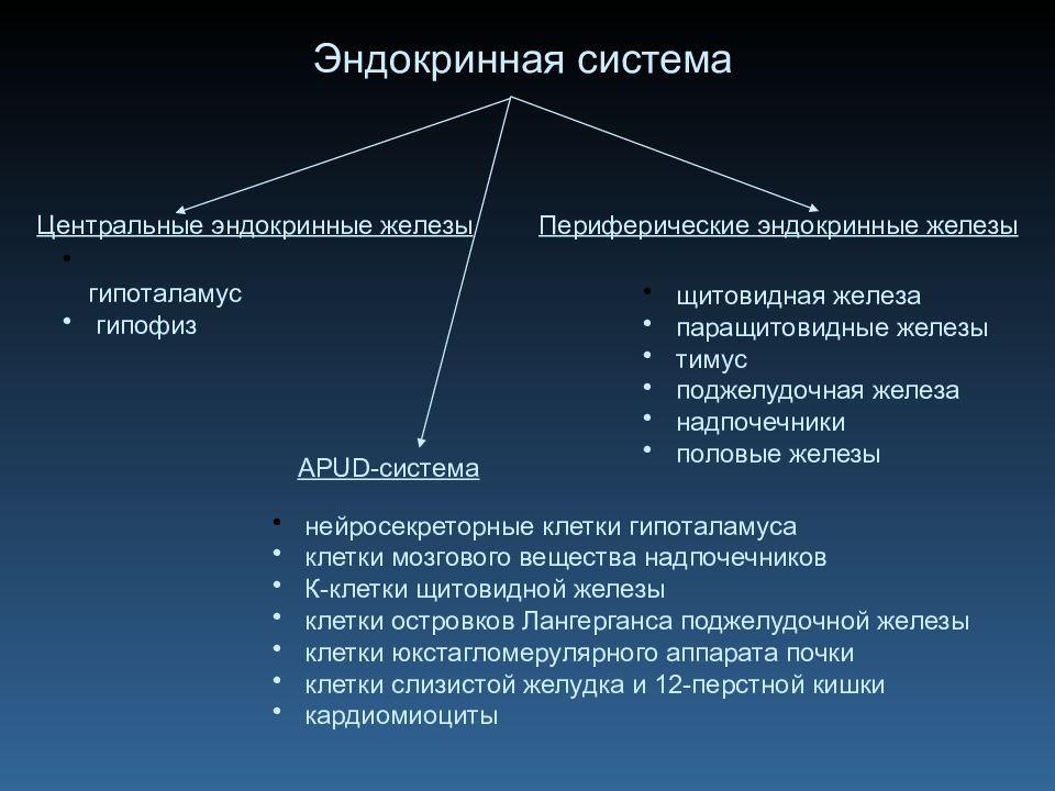 Патофизиология эндокринной системы презентация