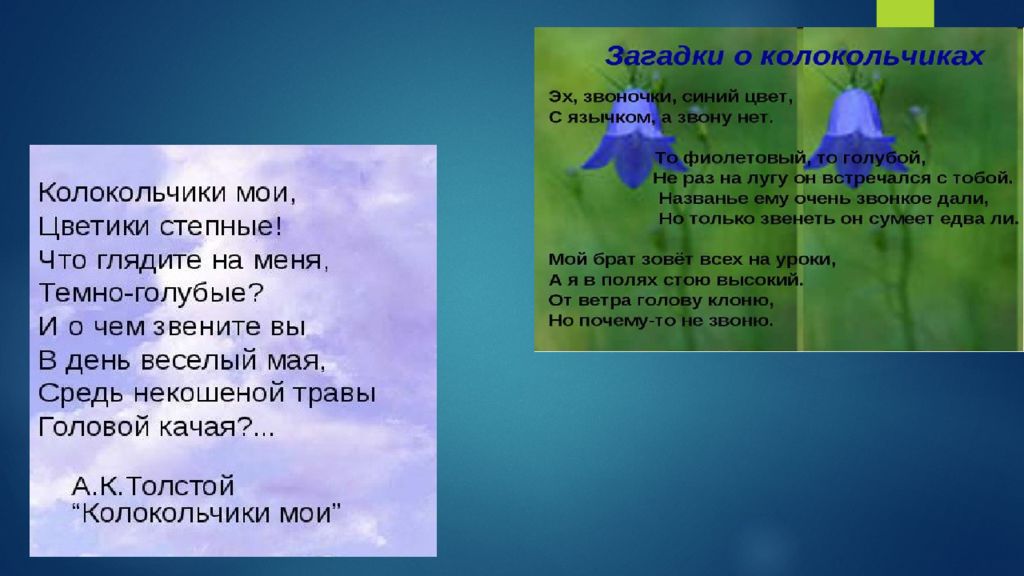 Колокольчики мои. Колокольчик для презентации. Цветные колокольчики что это презентация. Сказка чудесный колокольчик презентация. Колокольчики Мои анализ.