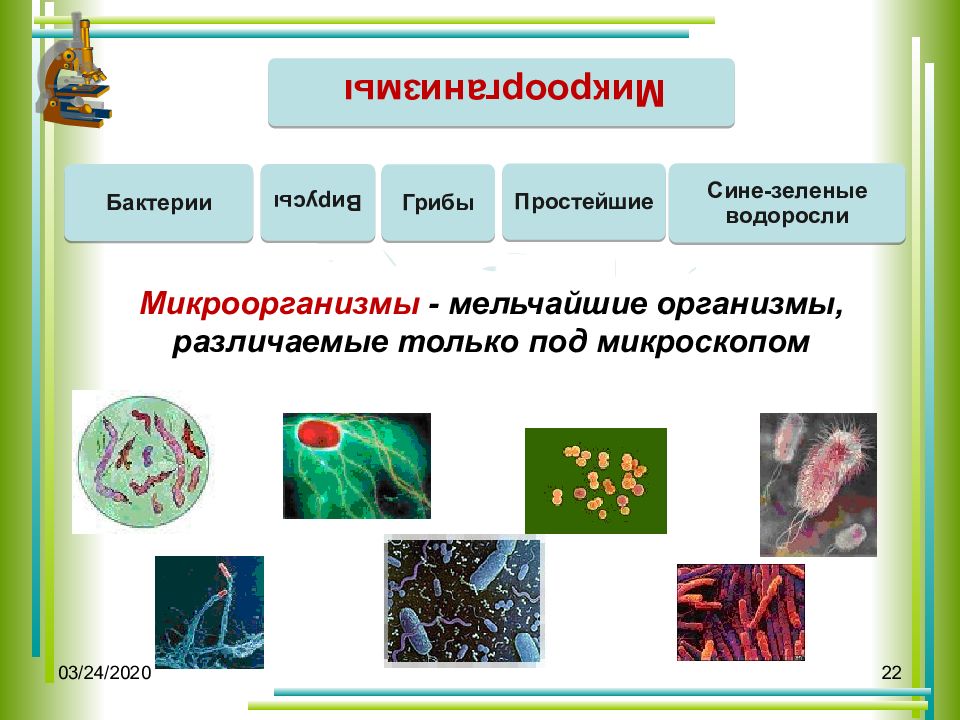 Отбор организмов. Основные селекции организмов. Основы генетики и селекции. Основы селекции биология. Генетические основы селекции таблица.