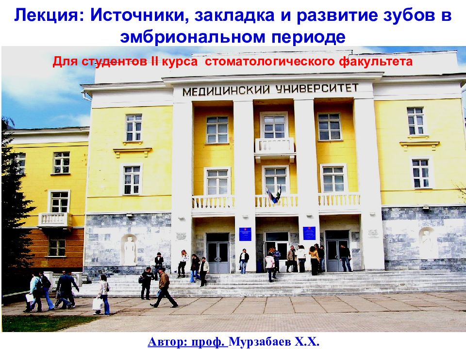 Лекция: Источники, закладка и развитие зубов в эмбриональном периоде