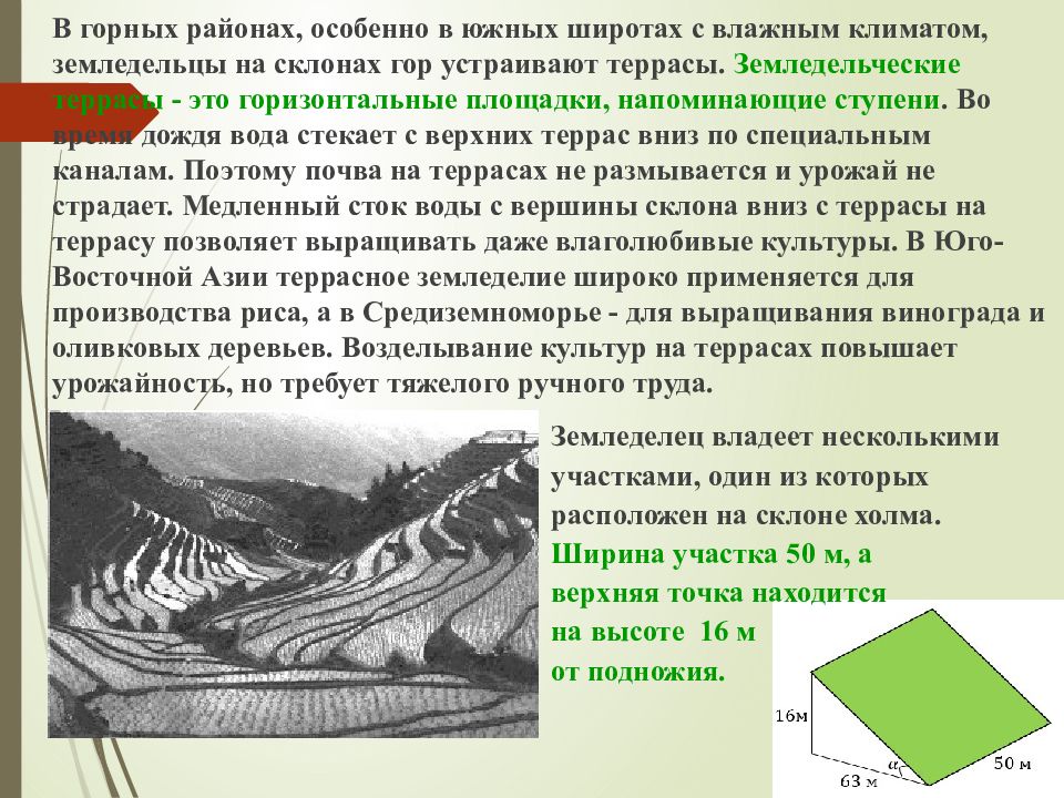 Земледельческие террасы в горных районах. В горных районах особенно в южных широтах. В горных районах особенно в южных широтах с влажным климатом. Склоны ОГЭ.