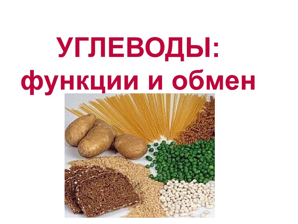 УГЛЕВОДЫ: функции и обмен