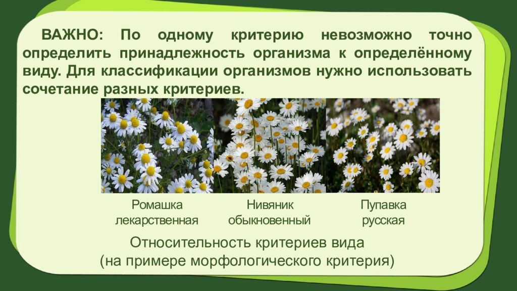 Биология 7 класс Тема урока: § 2.Систематика растений