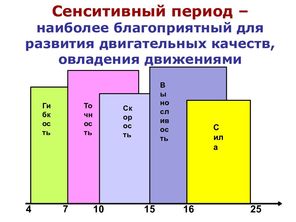 Монтессори периоды