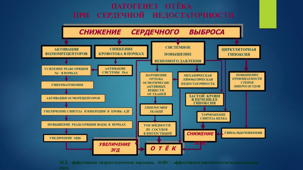 Отеки при сердечной недостаточности. Механизм развития отеков при сердечной недостаточности. Патогенез сердечных отеков патофизиология. Патогенез отеков при ХСН. Отеки при сердечной недостаточности патогенез.