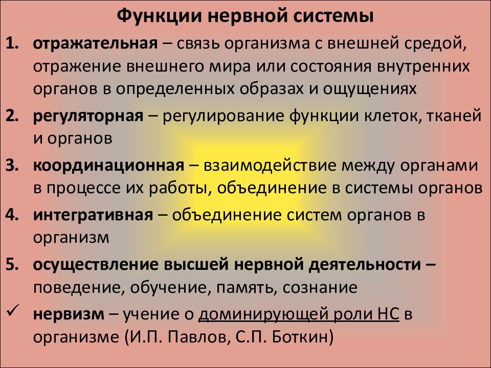 Какие функции выполняют нервные. Основные функции нервной системы человека кратко. Нервная система выполняет функции. Функции нервной системы кратко. Функции нервной системы человека кратко.