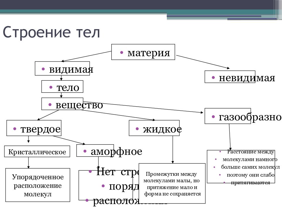 Агрегатные состояния вещества и фазовые переходы. Структура организма. Граф структура строения туловища. Видимая и Невидимая материя. Строение материи и вещества.