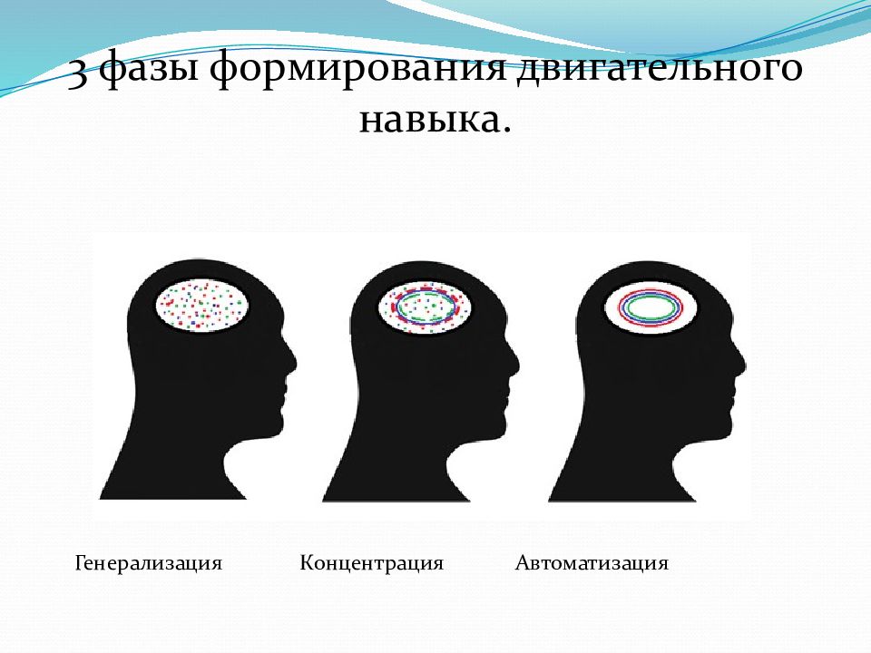 Процесс формирования двигательного умения. Формирование двигательного навыка. Стадии формирования двигательного навыка. Фазы двигательного навыка. Формирование двигательных умений и навыков.