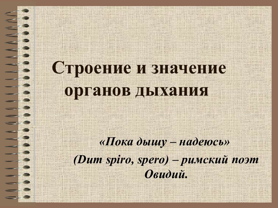 Строение и значение органов дыхания