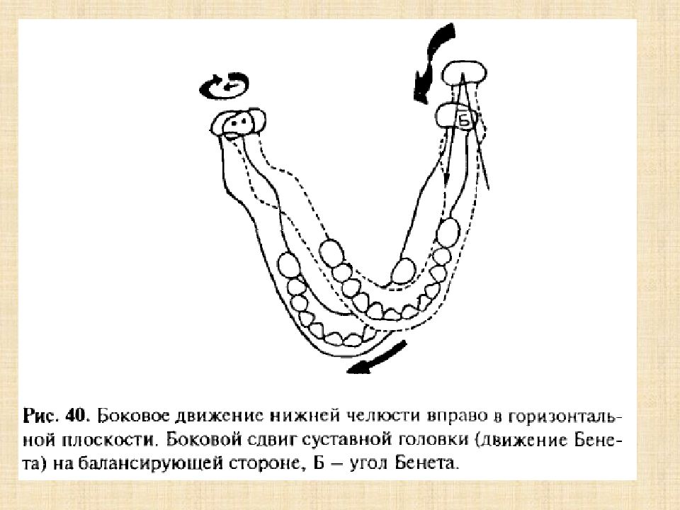 Движение нижней челюсти. Боковое движение нижней челюсти суставная головка. Боковой суставной путь. Трансверзальные (боковые) движения нижней челюсти. Латеральное движение нижней челюсти.