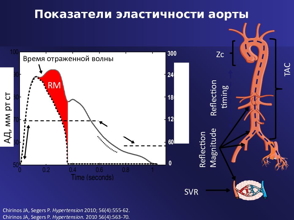 снижение эластичности аорты. стент графт грудной аорты. эластичность аорты. атеросклеротическая аневризма аорты. эластичность аорты.