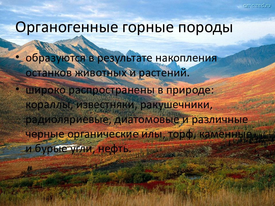 Геологическая 1. Органогенные горные породы. Осадочные горные породы образуются преимущественно из магмы. Горные породы образованные в результате накопления веществ выпавших. Природные породы образовавшиеся в результате.