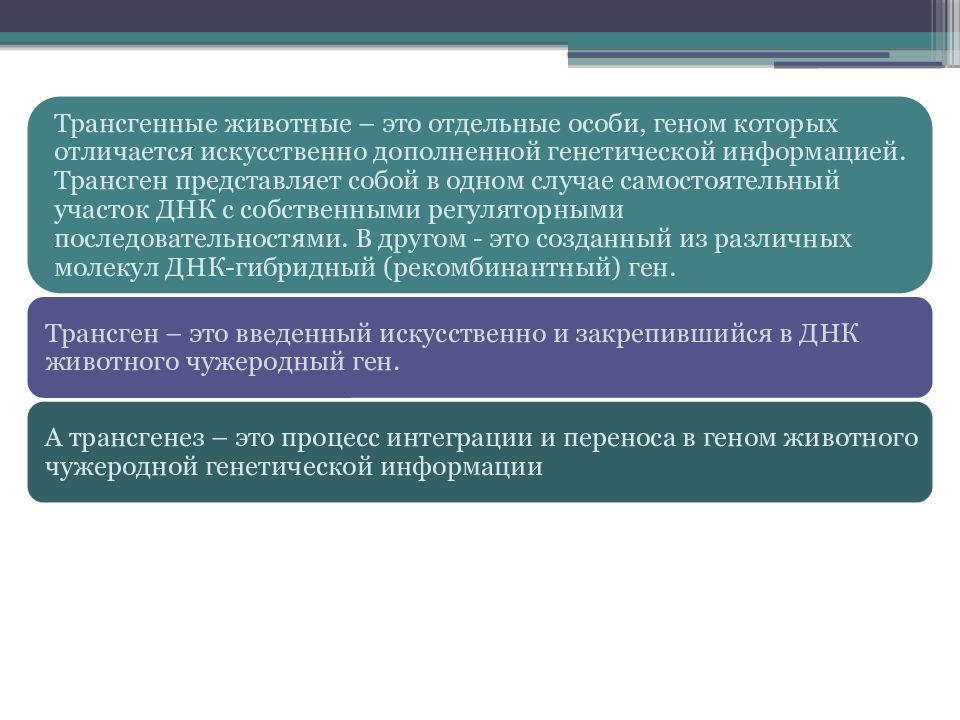 Трансгенные животные презентация
