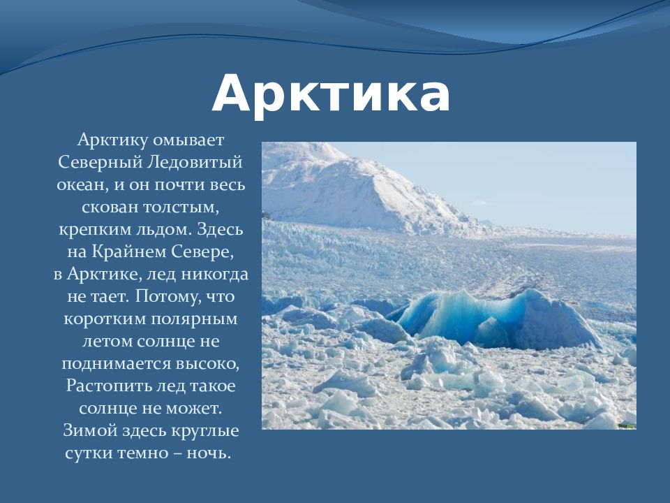 Омывает северный. Арктику омывает Северный Ледовитый океан,. Сообщение о животном Северного Ледовитого океана или Антарктиды. Арктика для учеников. Сообщение про животное Северного Ледовитого океана или Антарктида.