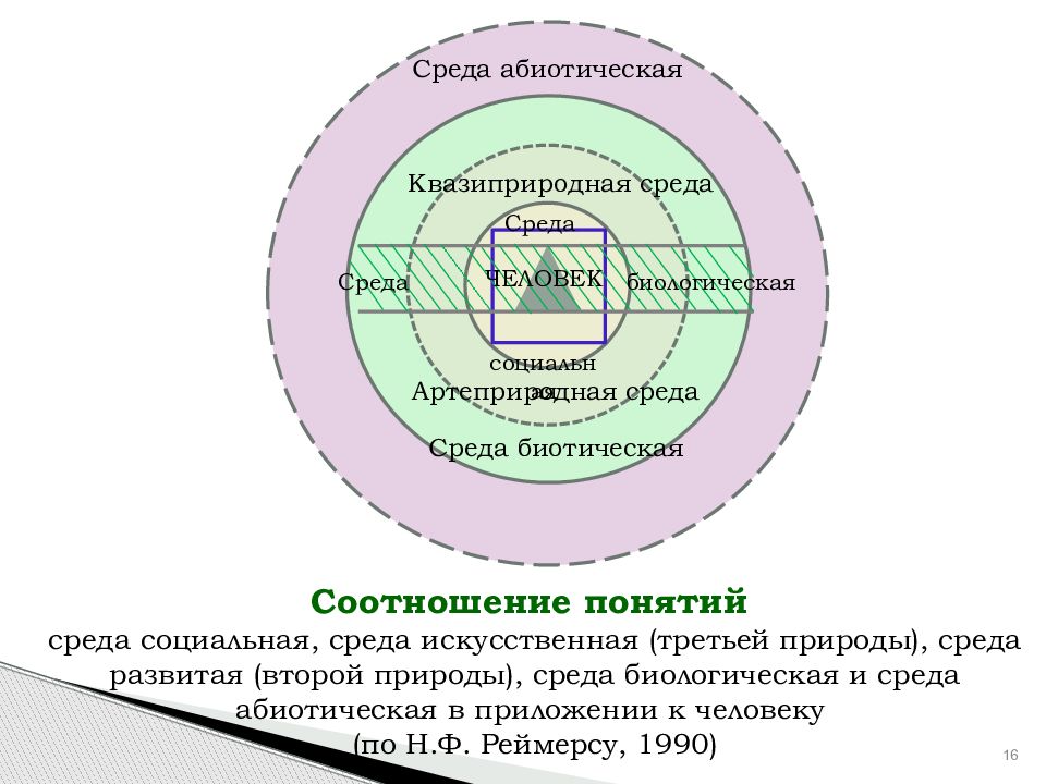 Среда искусств. Понятие социальной среды. Социальная среда включает в себя. Окружающая среда социальная среда. Элементы социальной среды.