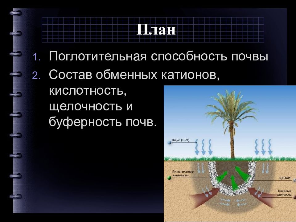 Поглотительная способность почвы презентация