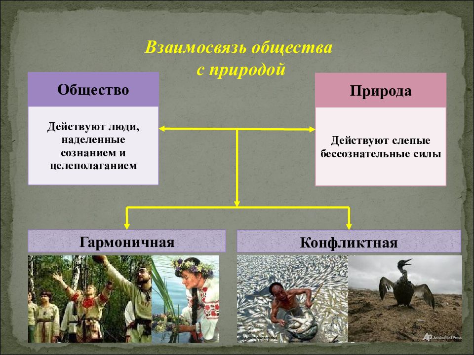 Презентация человек и общество 7 класс