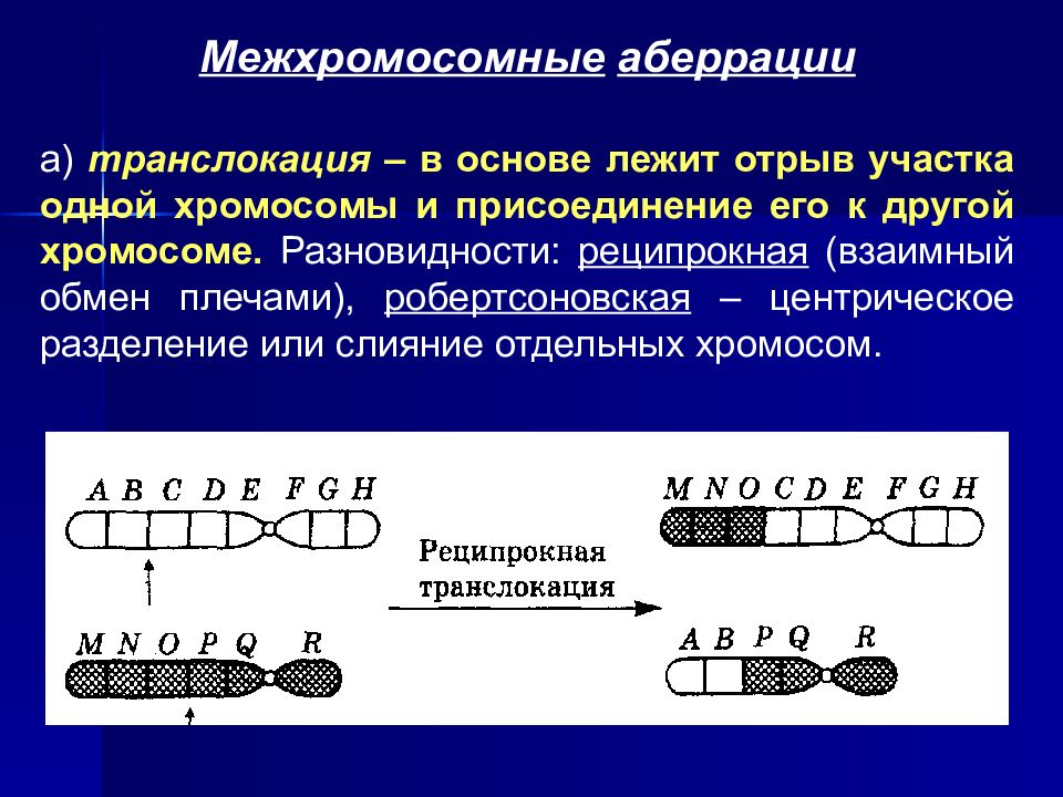 Робертсоновские транслокации хромосом. Реципрокная и робертсоновская транслокация. Робертсоновская транслокация хромосом. Межхромосомные аберрации транслокация. Реципрокная транслокация хромосом.