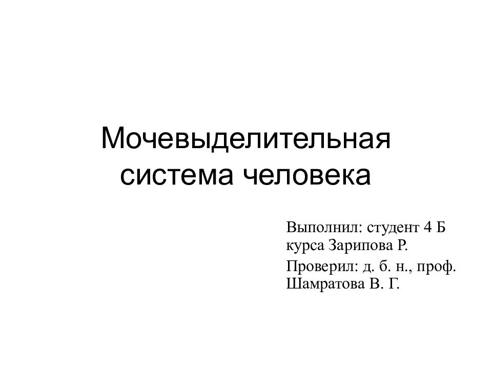 Мочевыделительная система человека
