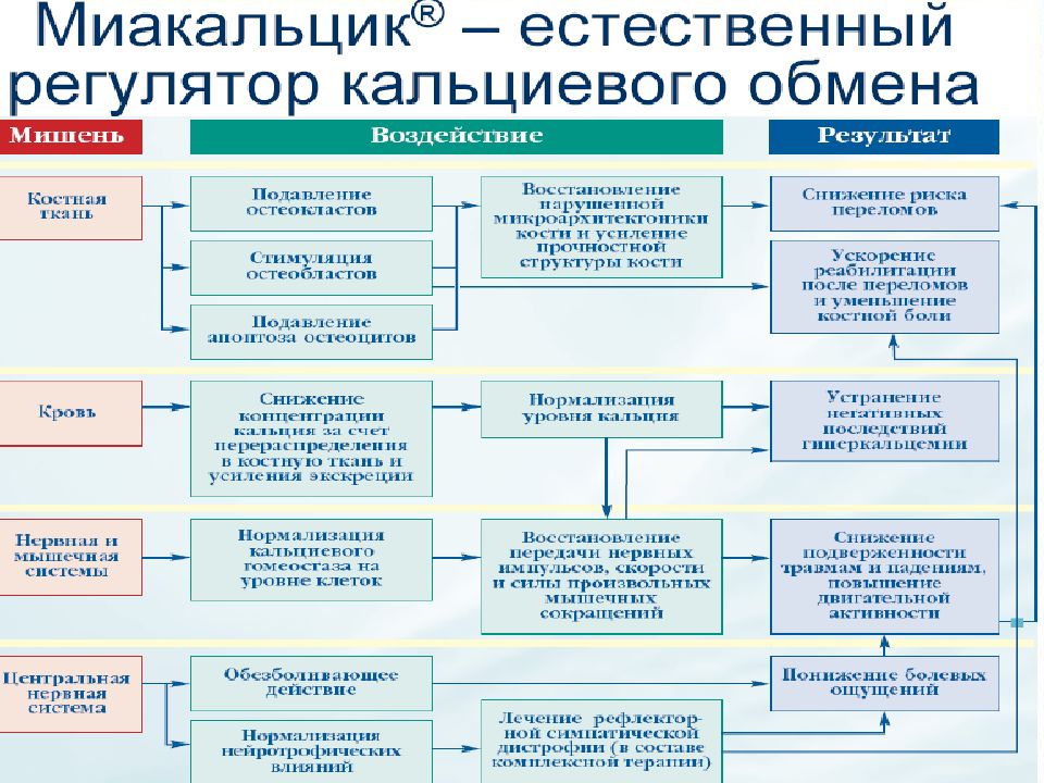 Лечение остеопороза у пожилых женщин препараты схема