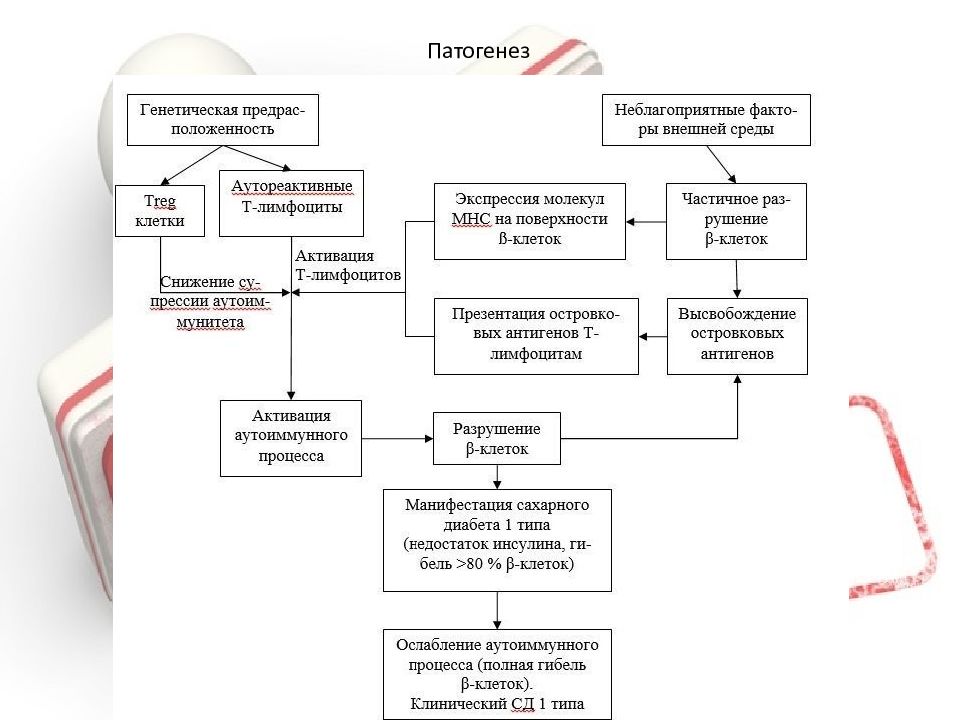 Схема патогенеза развития дисфункции внчс