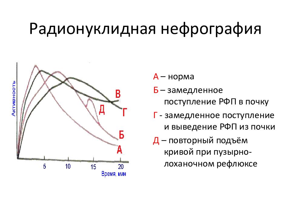 Кривая норма. Ренограмма почек. Радионуклидная ренография. Радионуклидная ренография почек. Сцинтиграфия почек норма.