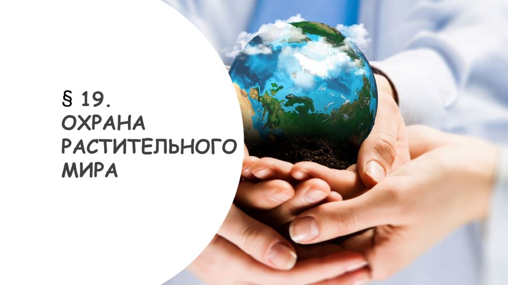 19. ОХРАНА РАСТИТЕЛЬНОГО МИРА