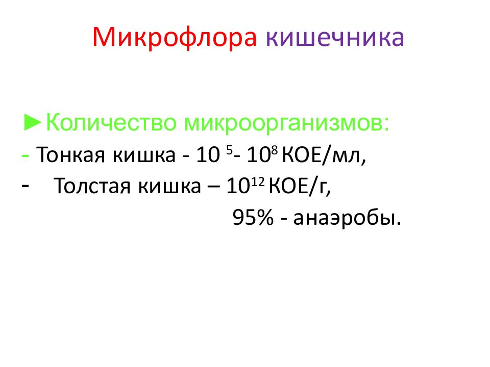 Презентация микрофлора организма человека