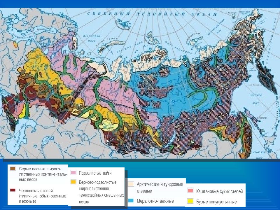 Ареал чернозема. Карта плодородия почв России. Типы почв России карта. Карта черноземных почв поссиия. Плодородные почвы России на карте.