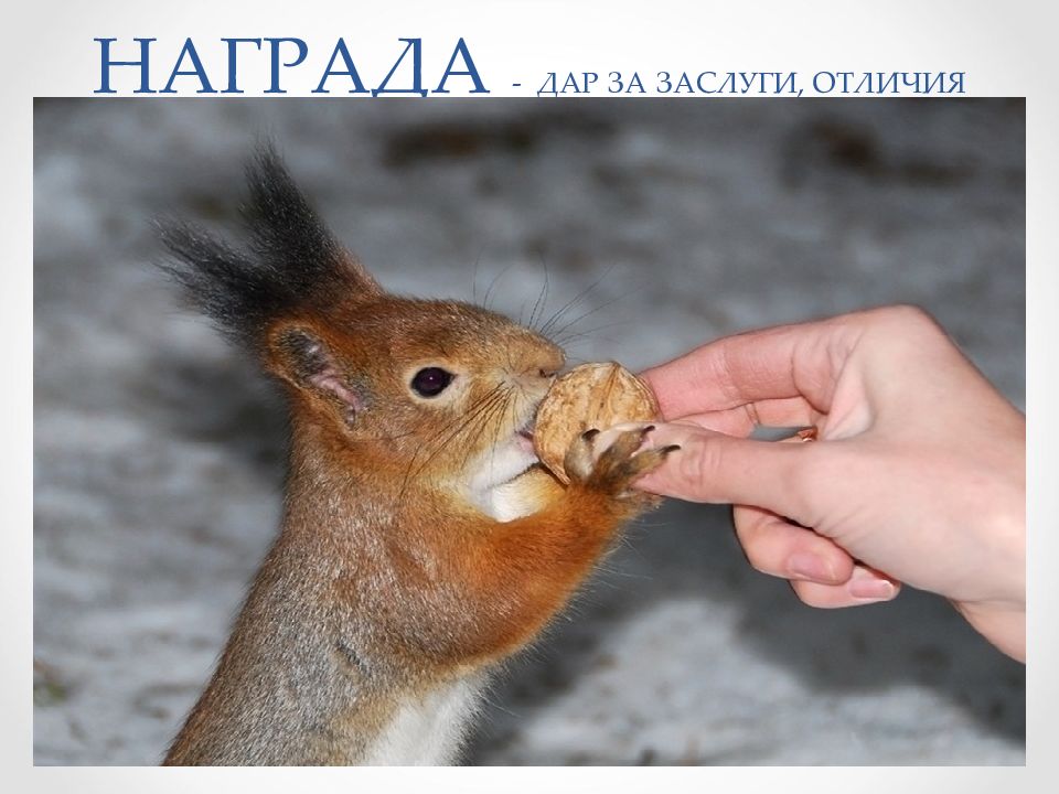 ОБЯЗАТЕЛЬСТВА ИЗ ОДНОСТОРОННИХ ДЕЙСТВИЙ НАГРАДА - ДАР ЗА ЗАСЛУГИ, ОТЛИЧИЯ