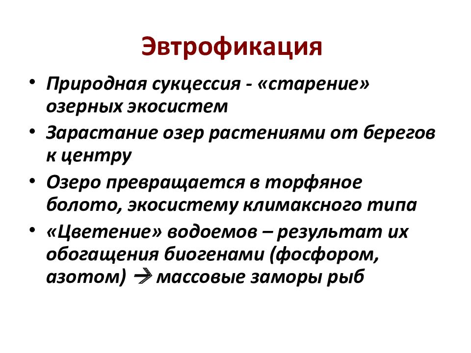 Саморазвитие экосистем сукцессии презентация