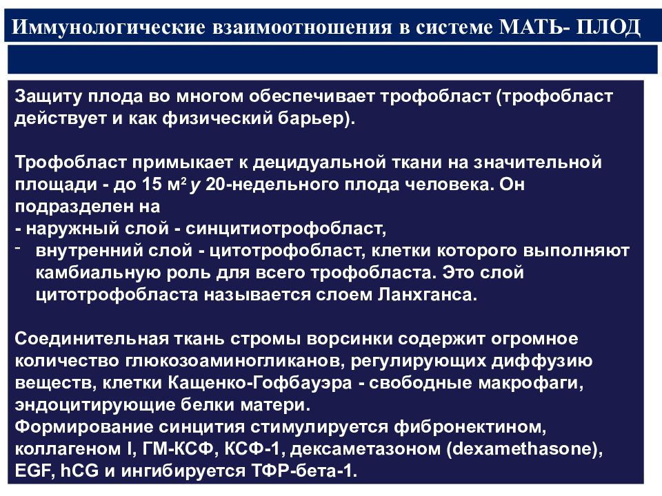 Система мама. Иммунологические взаимоотношения в системе «мать-плод».. Иммунологические взаимоотношения в системе «мать-отец».. Иммунные взаимоотношения материнского организма и плода. Иммунологические взаимоотношения между матерью и плодом.