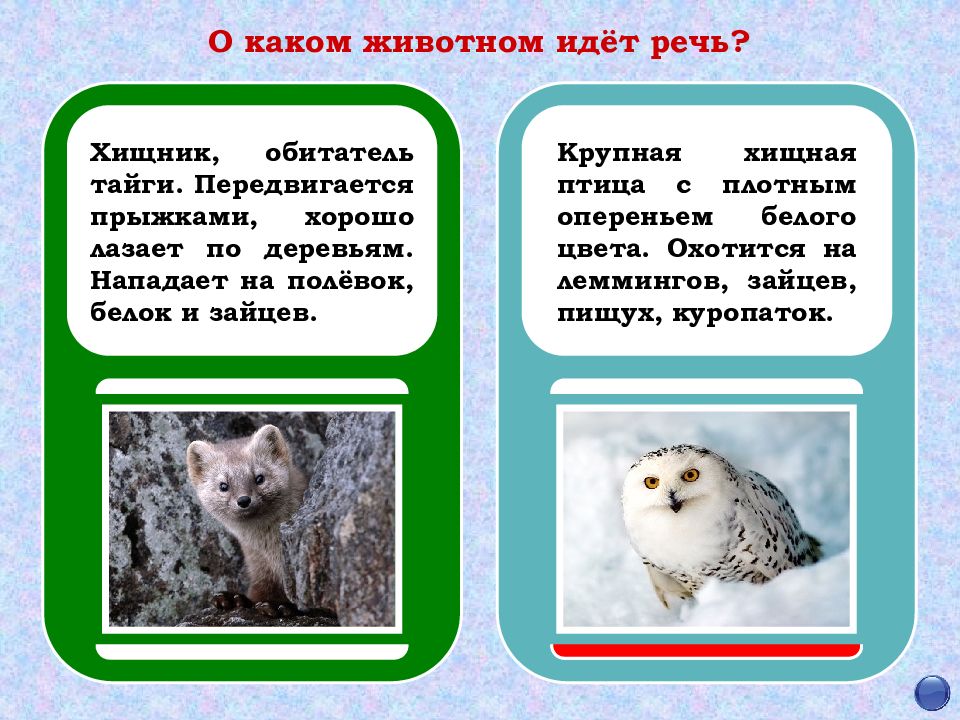 Какое животное идет. О каком животном идет речь. Какое животное передвигается прыжками. Из каких животных идет речь. О какой группе животных идет речь.